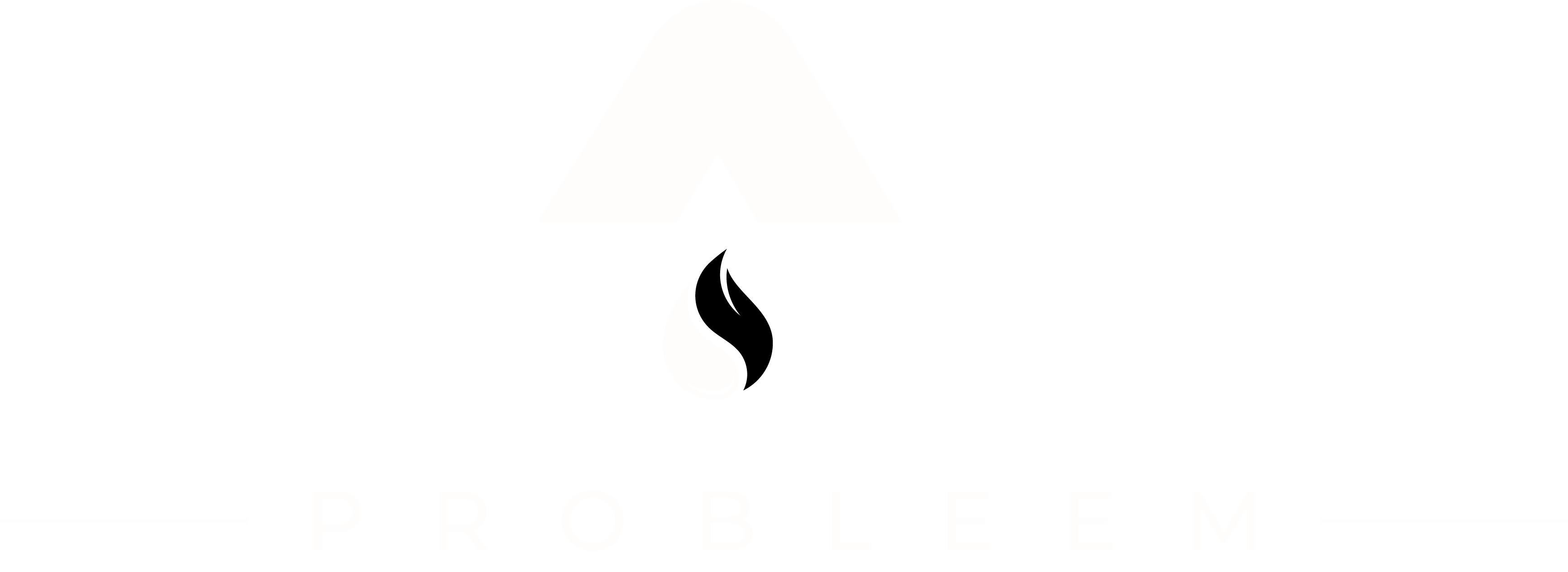 Dakprobleem logo